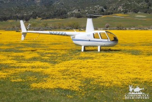 2002 Robinson R44 Raven I helicopter landed in the middle of a field of yellow wildflowers
