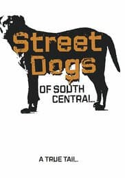 Poster for Street Dogs of South Central (2013)