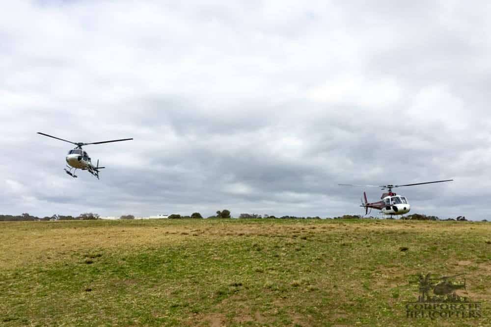 Two helicopters at a remote field